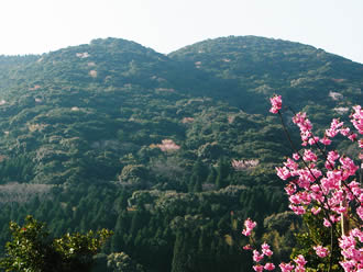 冠嶽（冠岳）フォト〜修行大師像から望む大平山